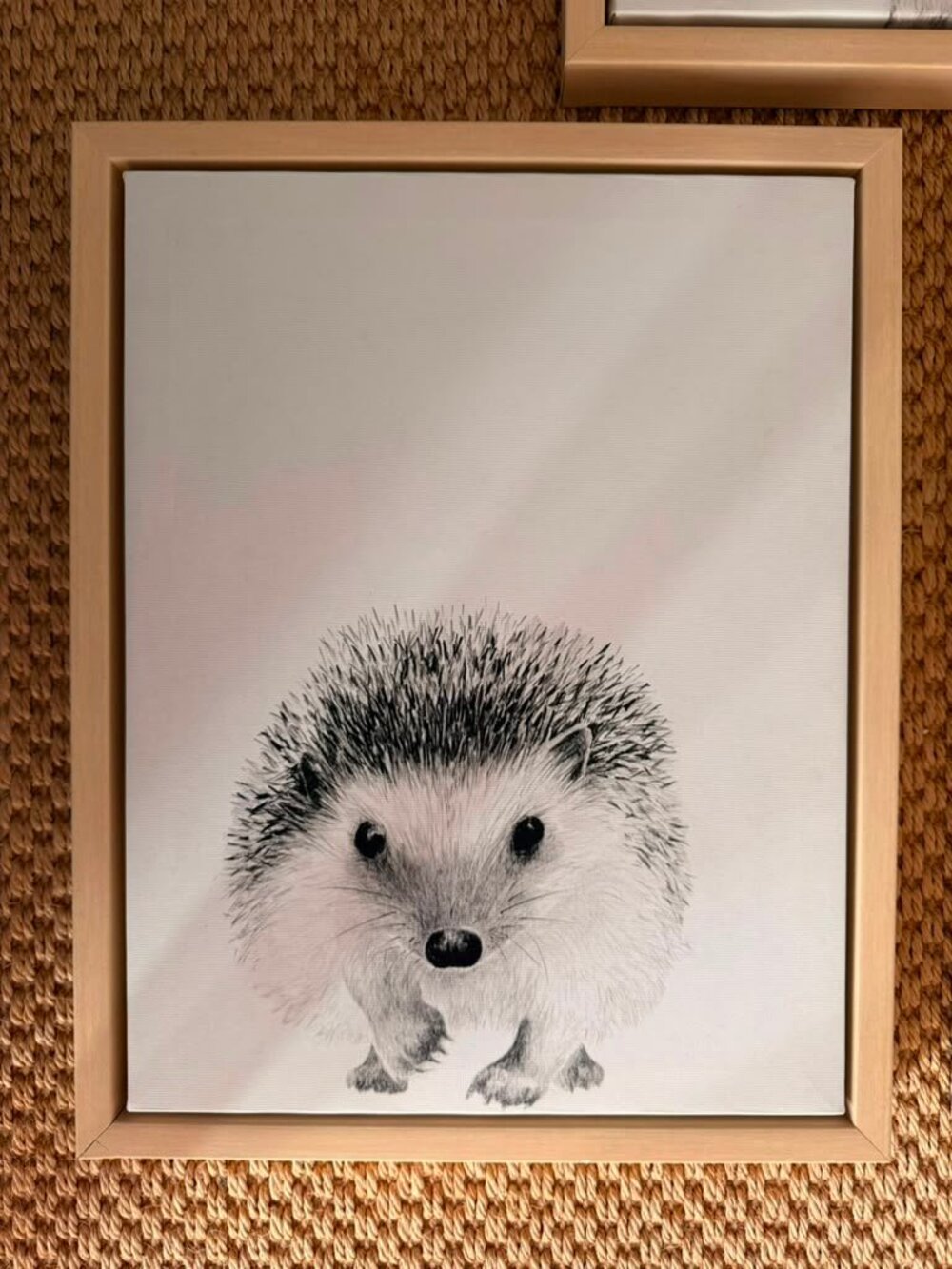 Baby Animal Framed Canvas Wall Art Set Elephant Giraffe Hedgehog 11x14 - Picture 5 of 13